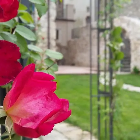 ファームステイ Alloggi Agrituristici Antica Dimora San Demetrio ne' Vestini